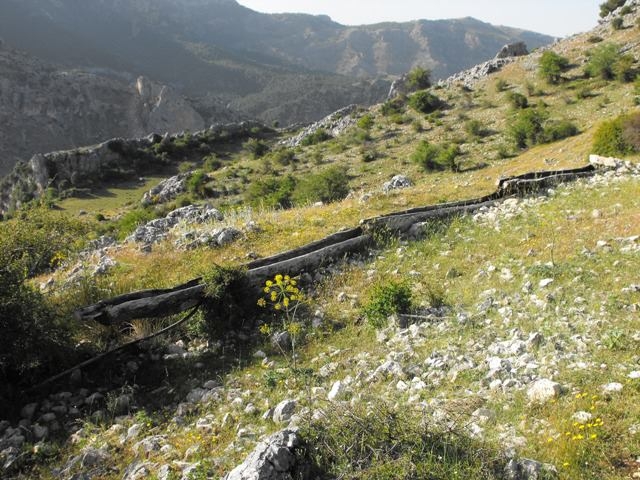  In the Sierra de Castril 